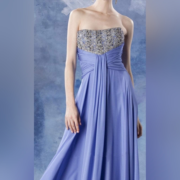 SOLTheia.Straight Across Embellished Front Ruched Crossed Zipper Back Silk Dress - Picture 2 of 5